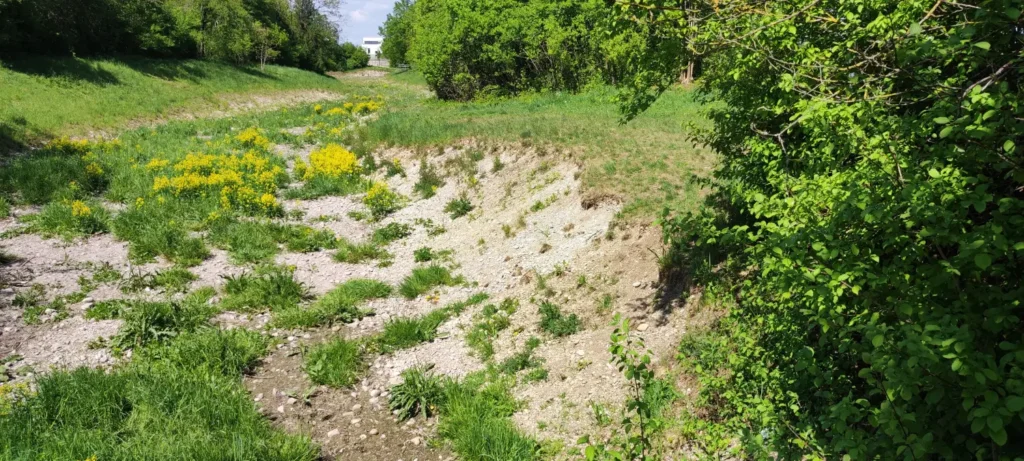 StadtGrün naturnah Poing2