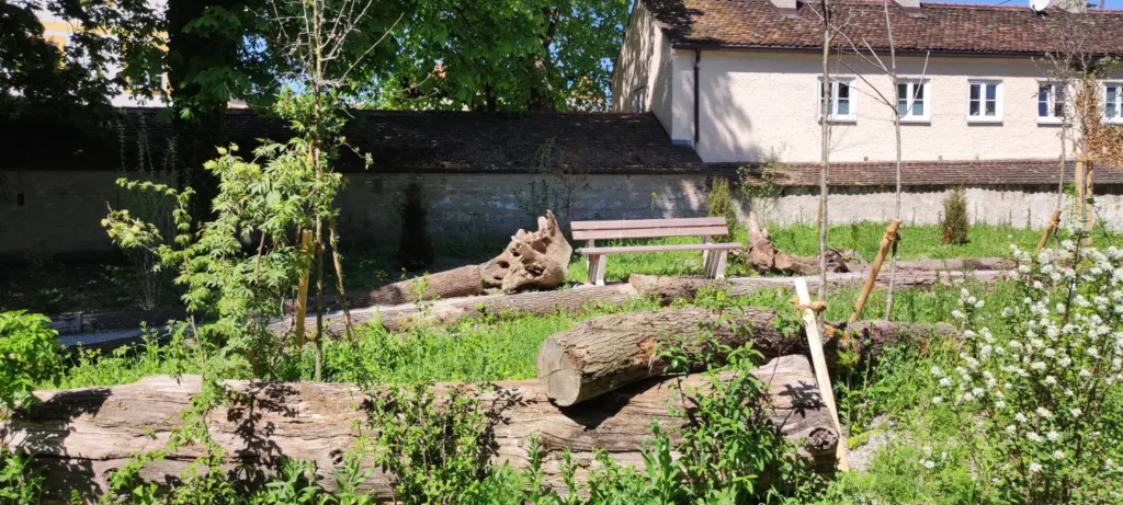 StadtGrün naturnah Weilheim1