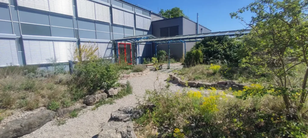 StadtGrün naturnah Weilheim2