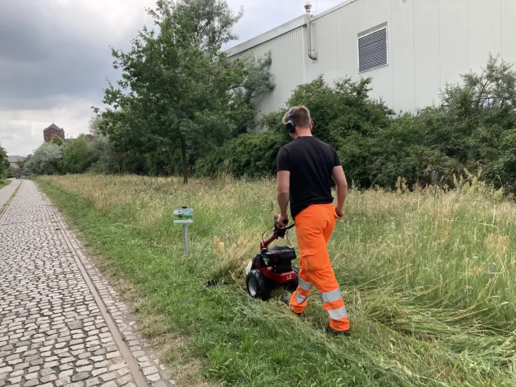 StadtGrün naturnah Wittenberg1