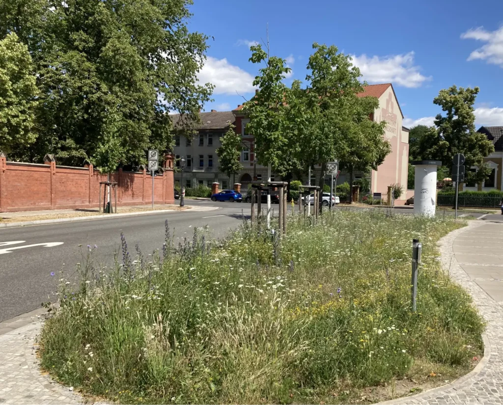 StadtGrün naturnah Wittenberg2