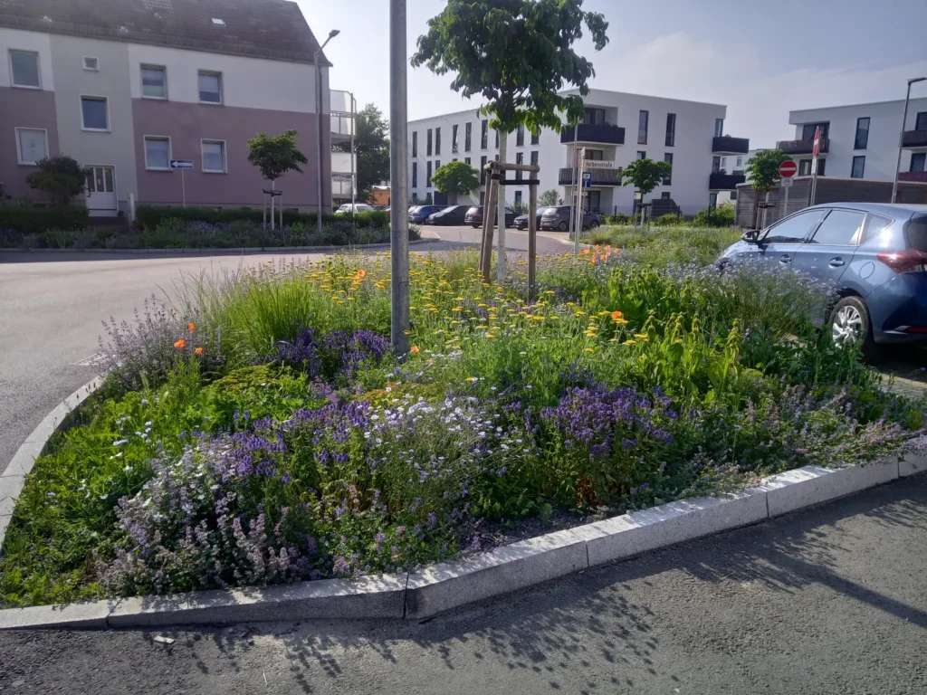 StadtGrün naturnah Wittenberg3