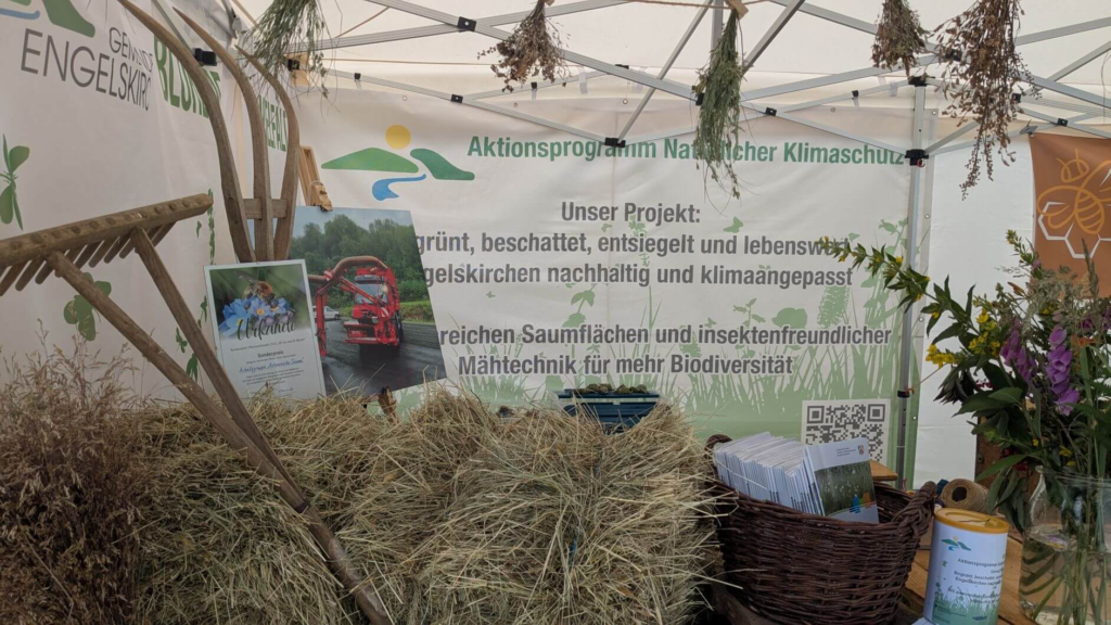 Kommunen für biologische Vielfalt - Praxisbeispiel - Gemeinde Engelskirchen – Artenreiche Säume1ume1