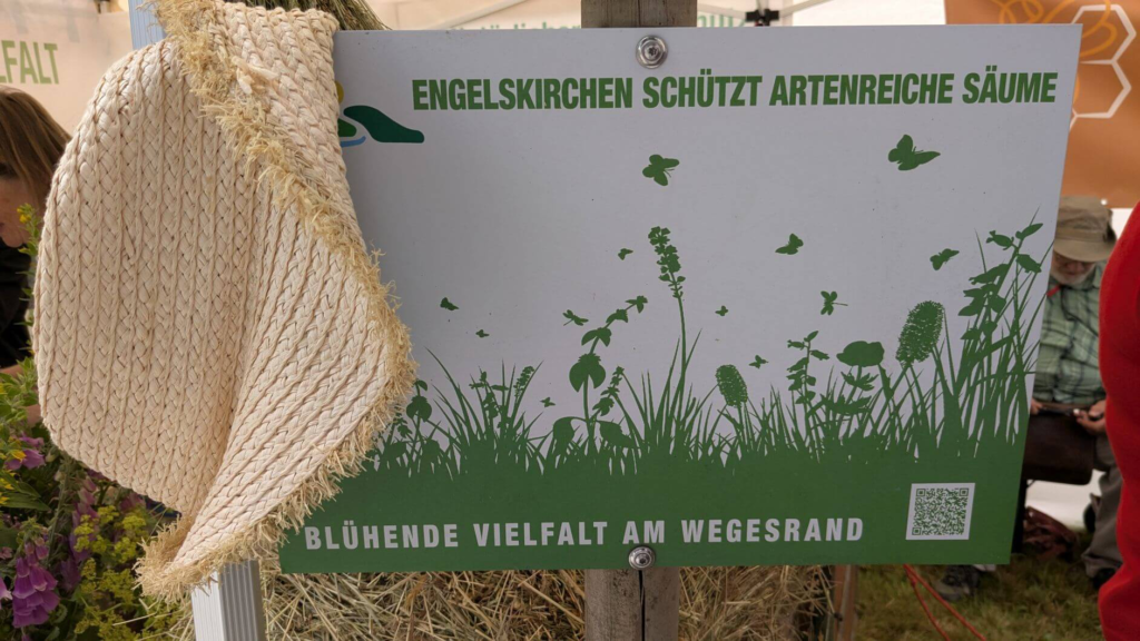 Kommunen für biologische Vielfalt - Praxisbeispiel - Gemeinde Engelskirchen – Artenreiche Säume2