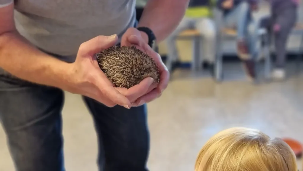 Kommunen für biologische Vielfalt - Praxisbeispiel - Stadt Herzogenrath - Igelretterkids - Mein Beitrag zum Igelschutz2