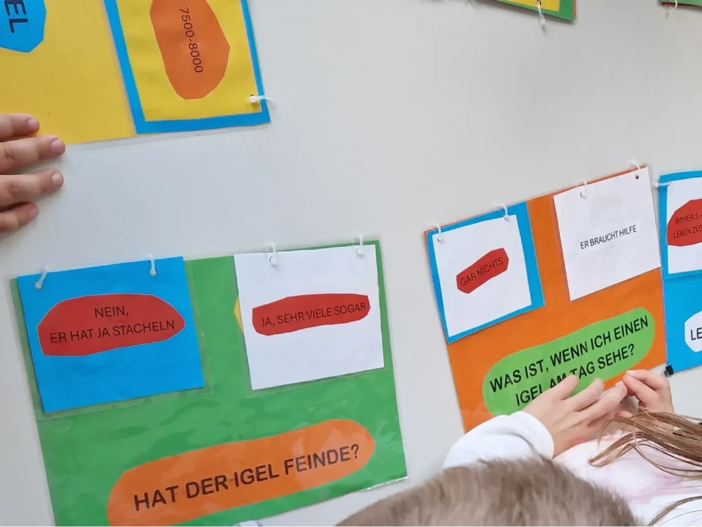 Kommunen für biologische Vielfalt - Praxisbeispiel - Stadt Herzogenrath - Igelretterkids - Mein Beitrag zum Igelschutz3