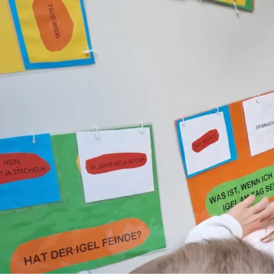 Kommunen für biologische Vielfalt - Praxisbeispiel - Stadt Herzogenrath - Igelretterkids - Mein Beitrag zum Igelschutz3