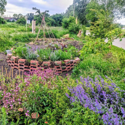 Kommunen für biologische Vielfalt - Praxisbeispiel - Stadt Puchheim – Wildbienengarten1