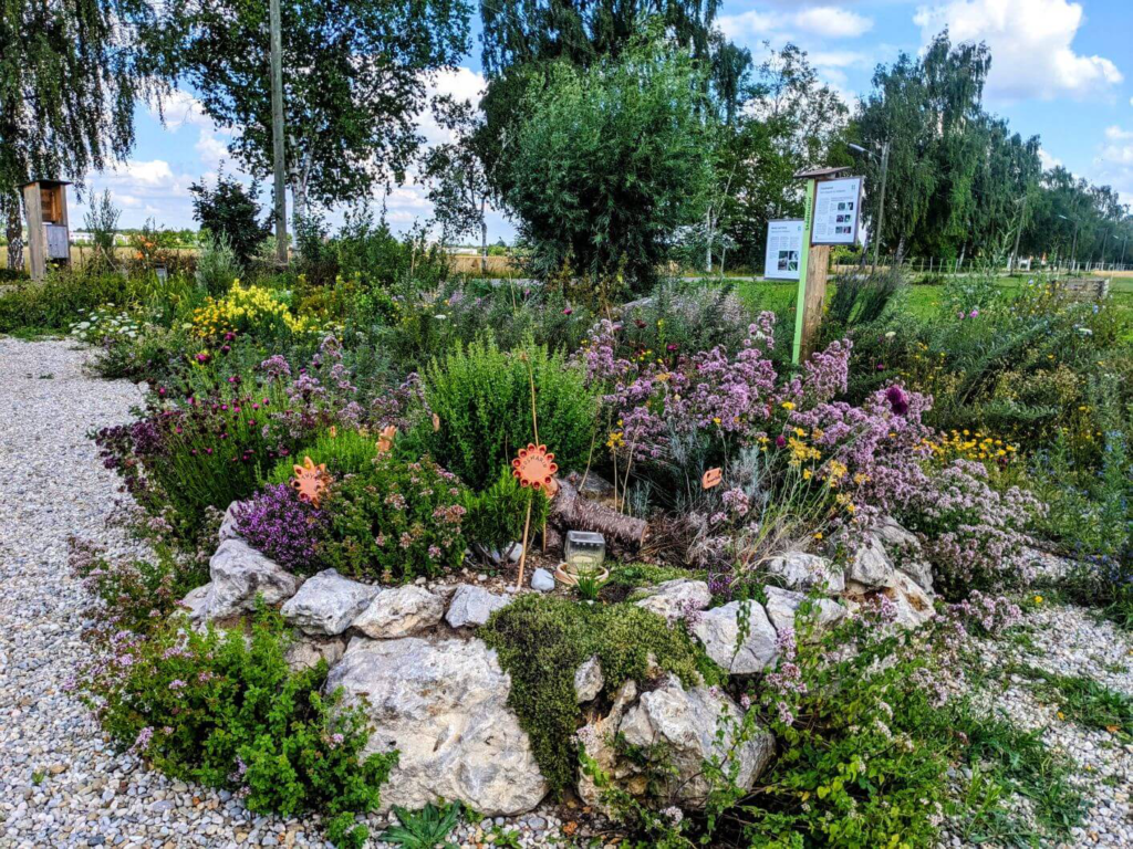 Kommunen für biologische Vielfalt - Praxisbeispiel - Stadt Puchheim – Wildbienengarten2