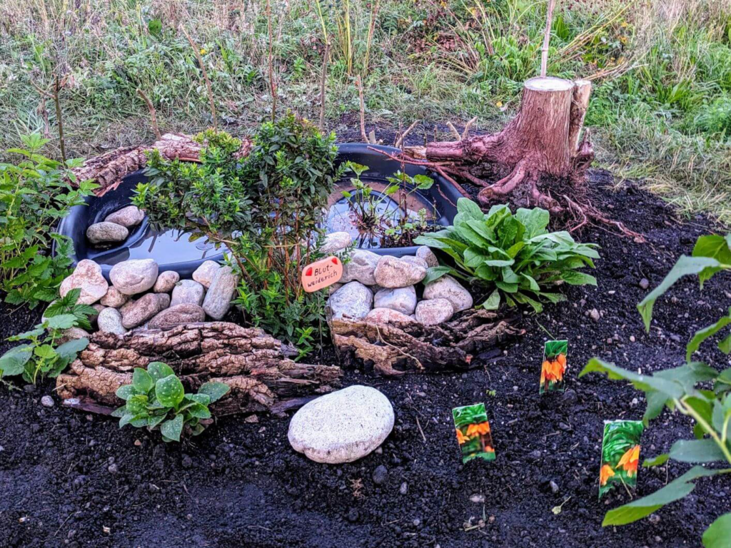 Kommunen für biologische Vielfalt - Praxisbeispiel - Stadt Puchheim – Wildbienengarten4