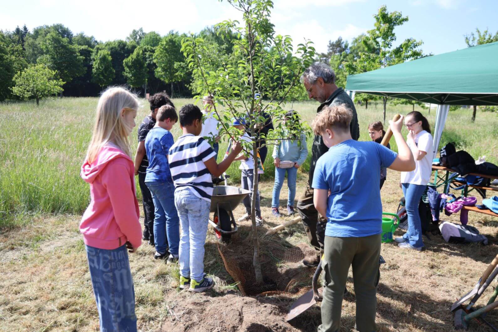 Kommunen für biologische Vielfalt - Praxisbeispiel - Stadt St. Ingbert - Streuobstwiese Rohrbachtal2