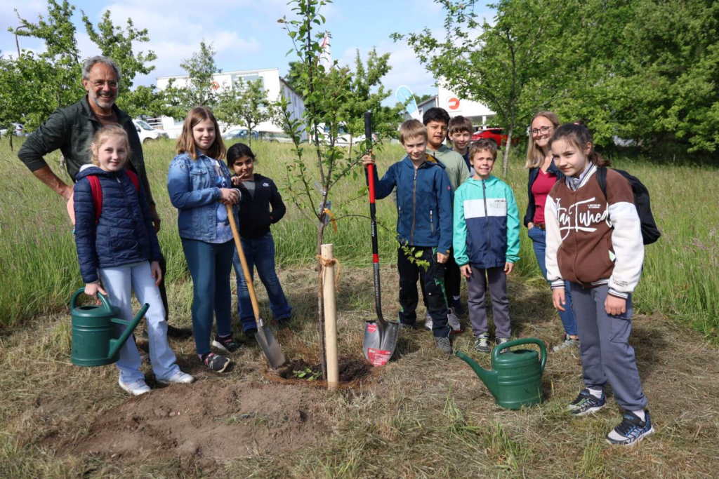 Kommunen für biologische Vielfalt - Praxisbeispiel - Stadt St. Ingbert - Streuobstwiese Rohrbachtal4