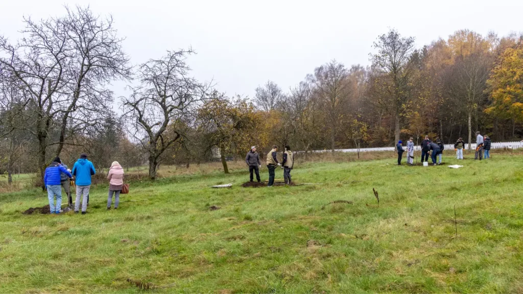 Kommunen für biologische Vielfalt - Praxisbeispiel - Stadt St. Ingbert - Einheitsbuddeln3