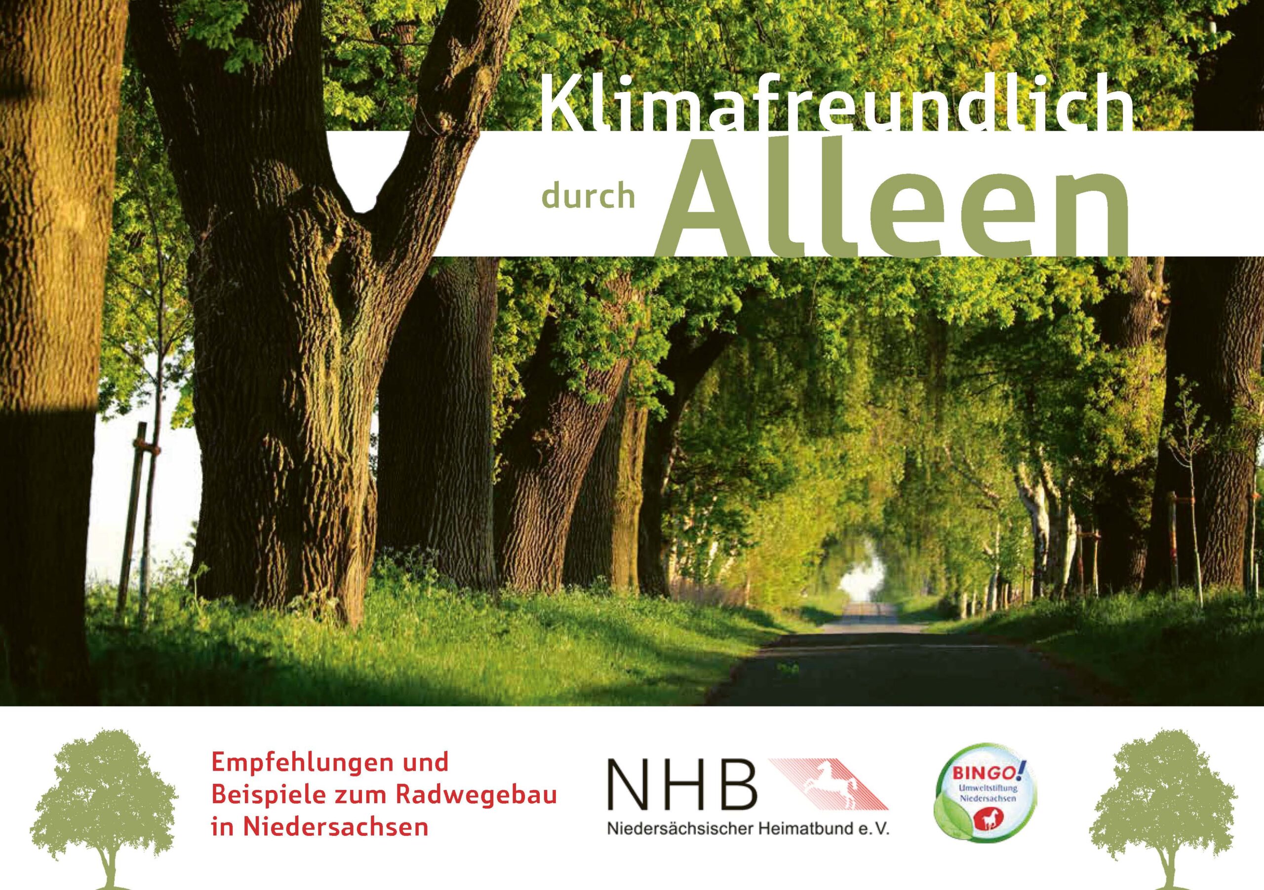 Klimafreundlich durch Alleen