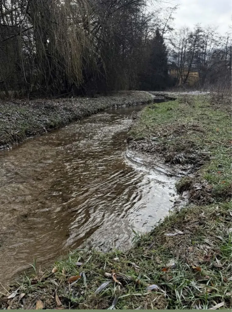 Kommunen für biologische Vielfalt - Praxisbeispiel - Stadt Bad Wildungen - Gewässerumlegung der Wilde zur Förderung des Biberlebensraums3