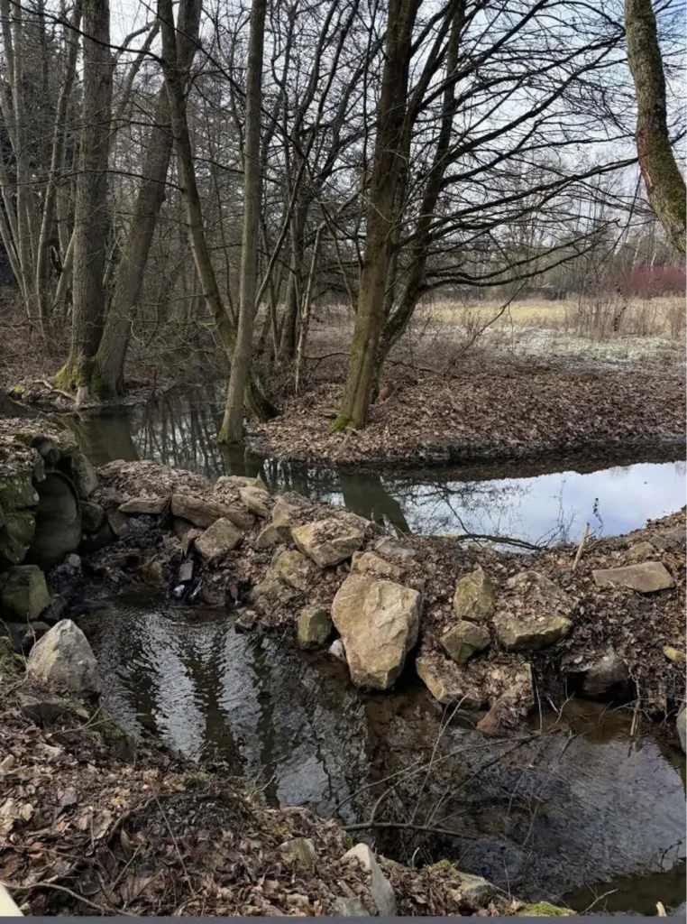 Kommunen für biologische Vielfalt - Praxisbeispiel - Stadt Bad Wildungen - Gewässerumlegung der Wilde zur Förderung des Biberlebensraums4