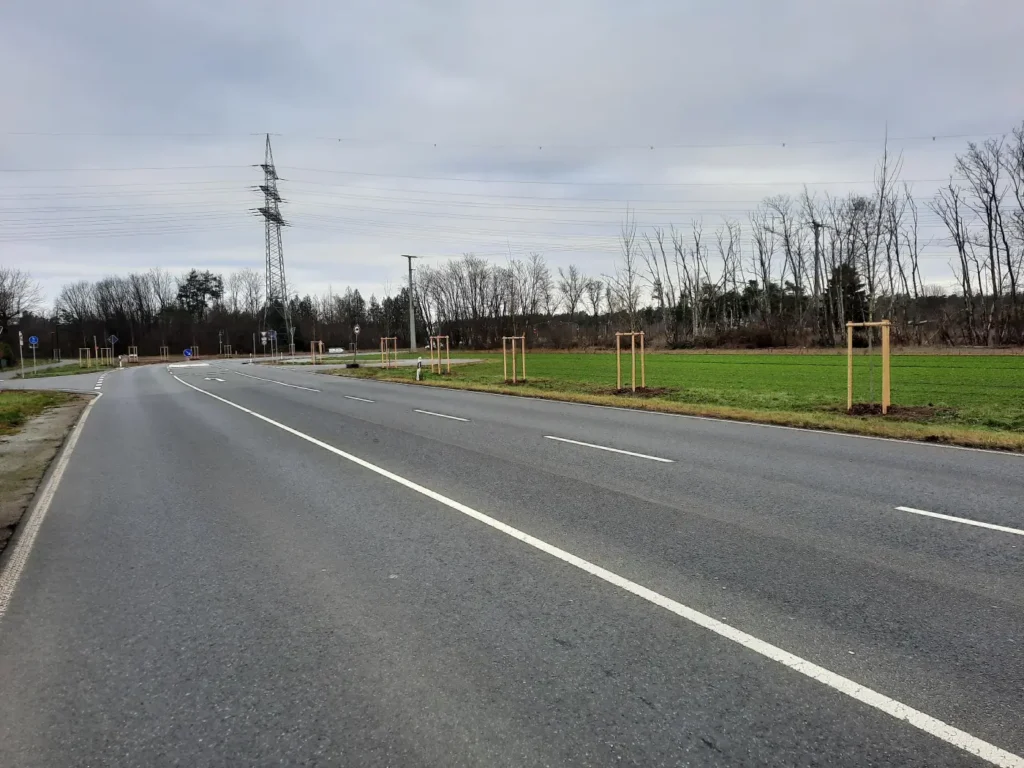 Kommunen für biologische Vielfalt - Praxisbeispiel - Gemeinde Karlstein - Allee an ehemaliger B8-3