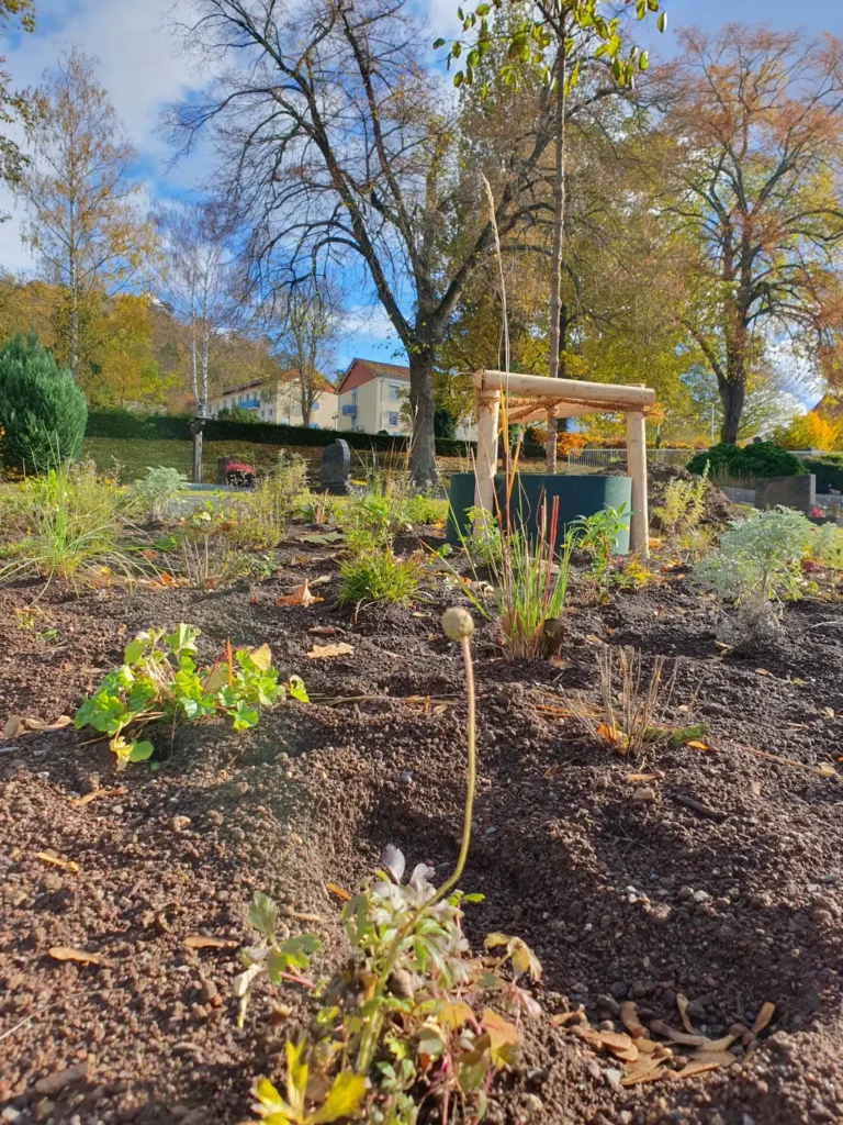 Kommunen für biologische Vielfalt - Praxisbeispiel - Zweckverband Knüllgebiet - Ökologisches Grünflächenmanagement4