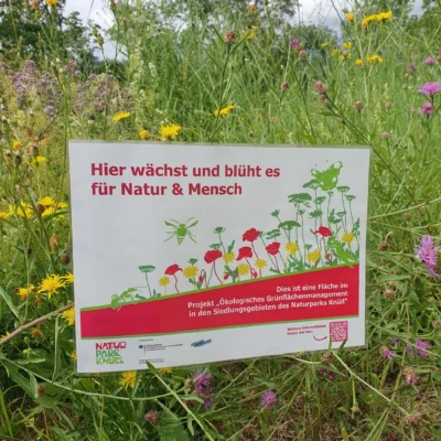Kommunen für biologische Vielfalt - Praxisbeispiel - Zweckverband Knüllgebiet - Ökologisches Grünflächenmanagement5
