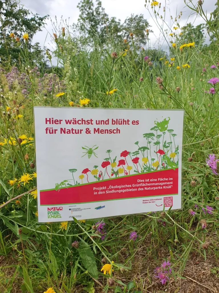 Kommunen für biologische Vielfalt - Praxisbeispiel - Zweckverband Knüllgebiet - Ökologisches Grünflächenmanagement5