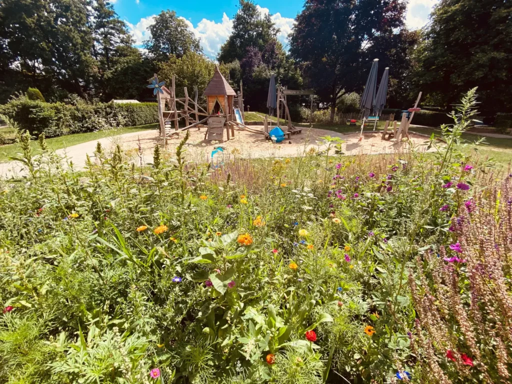 Kommunen für biologische Vielfalt - Praxisbeispiel - Gemeinde Künzell - Künzell macht sich stark für Natur- und Artenschutz6