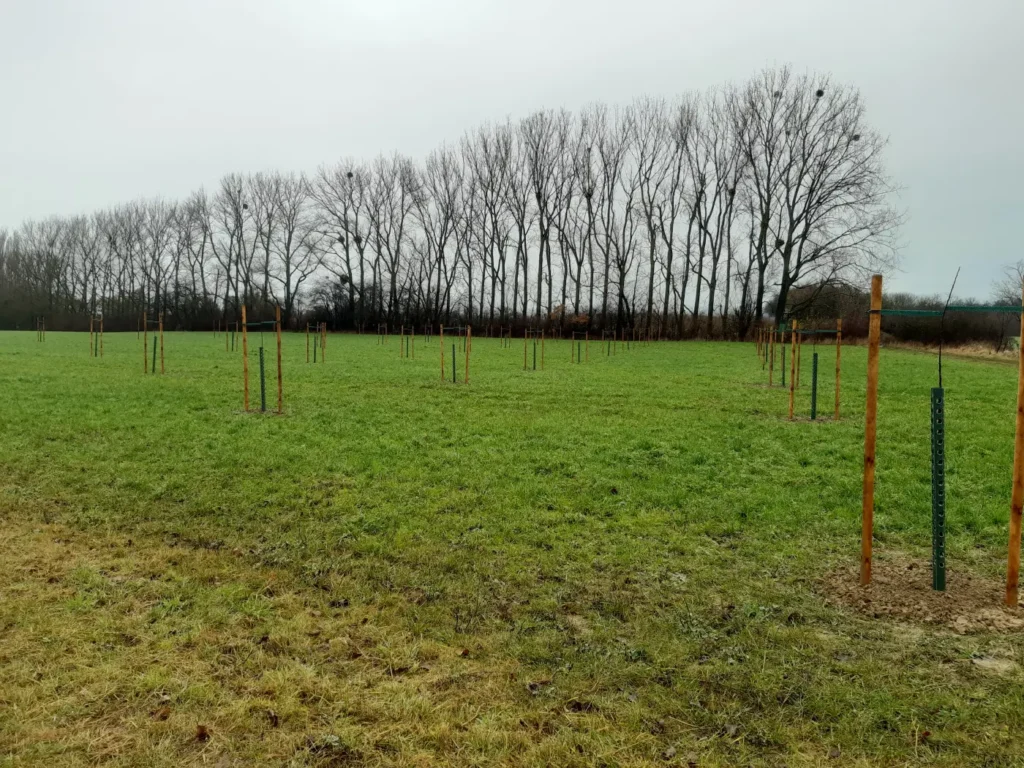 Kommunen für biologische Vielfalt - Praxisbeispiel - Kreis Lippe - Sortengarten als Streuobstwiese1