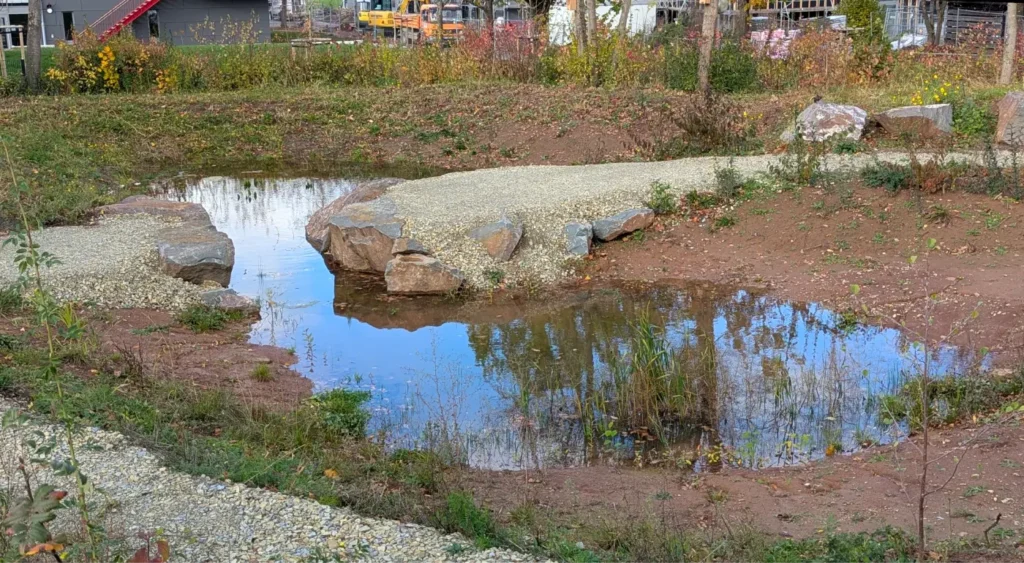Kommunen für biologische Vielfalt - Praxisbeispiel - Landkreis Marburg-Biedenkopf - Anlage eines Schulteichs als grünes Klassenzimmer2