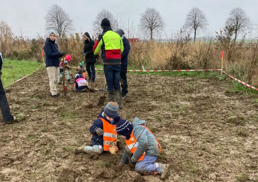 Kommunen für biologische Vielfalt - Praxisbeispiel - Gemeinde Rommerskirchen - Miniwald Dorf- und Festplatz1
