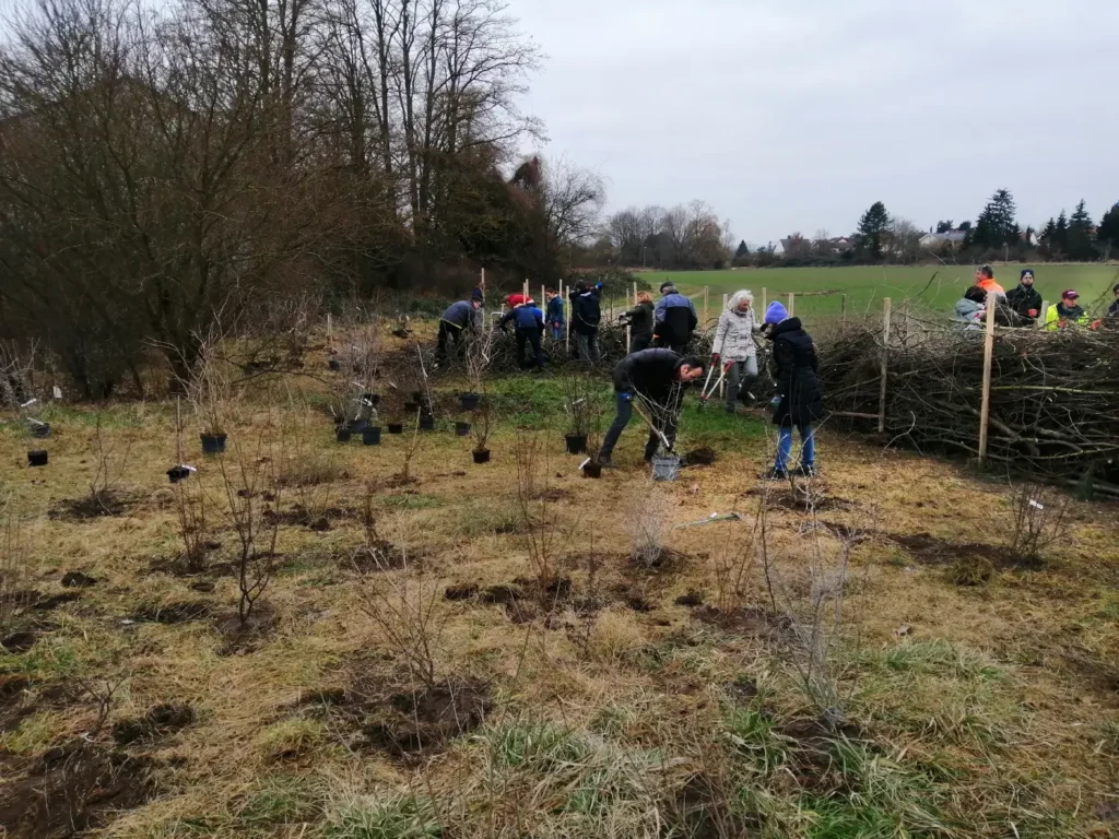 Kommunen für biologische Vielfalt - Praxisbeispiel - Stadt Schifferstadt - Aufwertung von Biodiversitätsflächen1