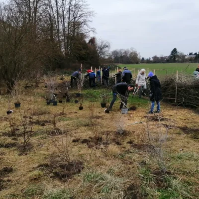 Kommunen für biologische Vielfalt - Praxisbeispiel - Stadt Schifferstadt - Aufwertung von Biodiversitätsflächen1
