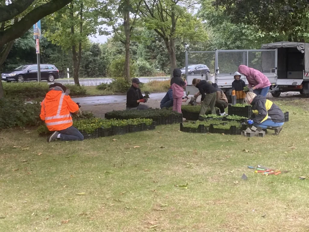 Kommunen für biologische Vielfalt - Praxisbeispiel - Stadt Sendenhorst - Hier wächst was3