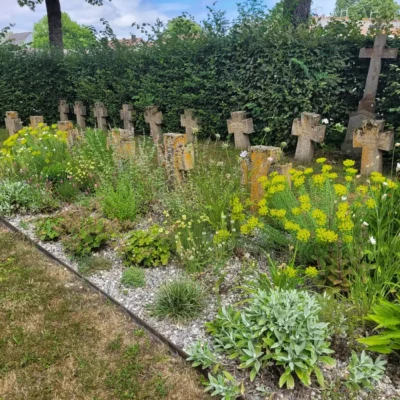 Kommunen für biologische Vielfalt - Praxisbeispiel - Stadt Bad Dürrheim - Lebendiger Friedhof4 - Soldatengräber