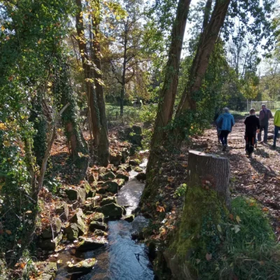 Kommunen für biologische Vielfalt - Praxisbeispiel - Stadt Esslingen - Naturnahe Umgestaltung2