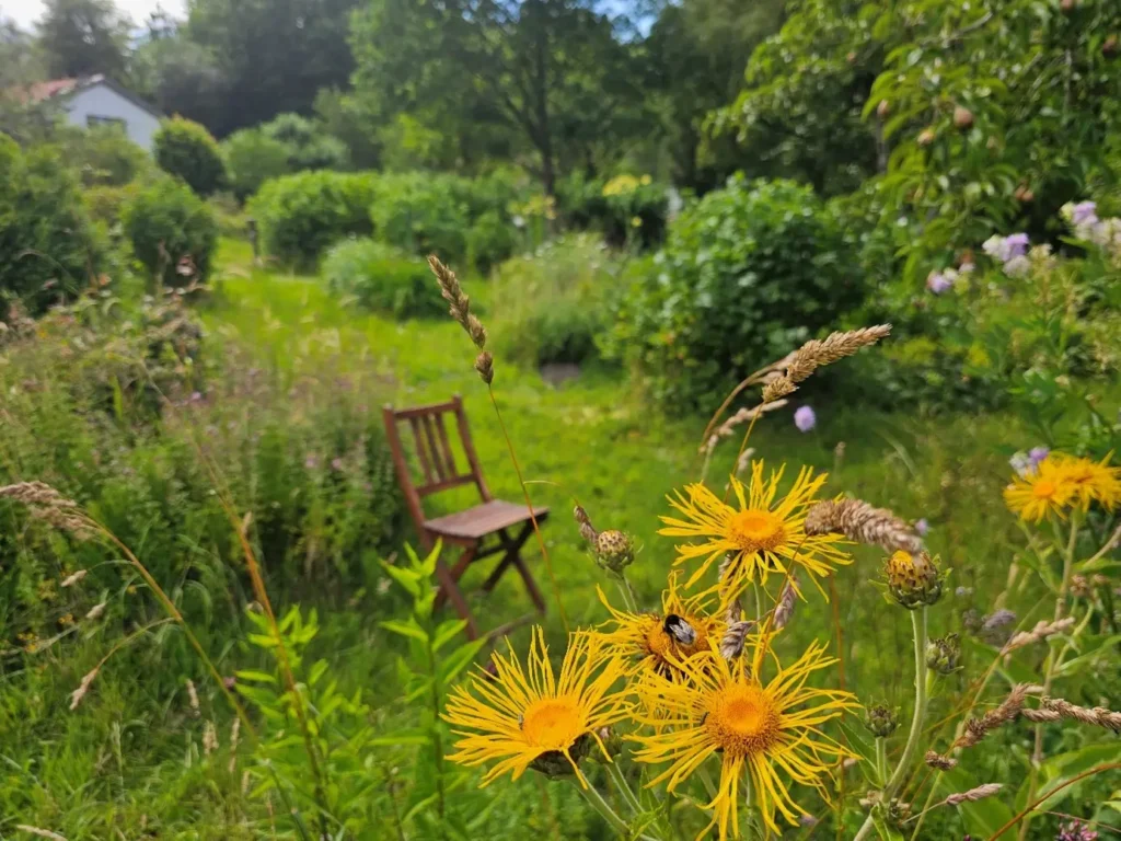 Kommunen für biologische Vielfalt - Praxisbeispiel - Stadt Flensburg - Naturgarten-Wettbewerb1
