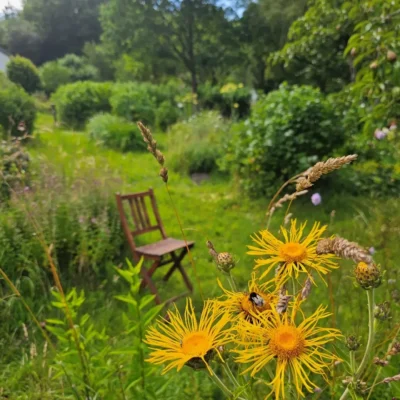 Kommunen für biologische Vielfalt - Praxisbeispiel - Stadt Flensburg - Naturgarten-Wettbewerb1