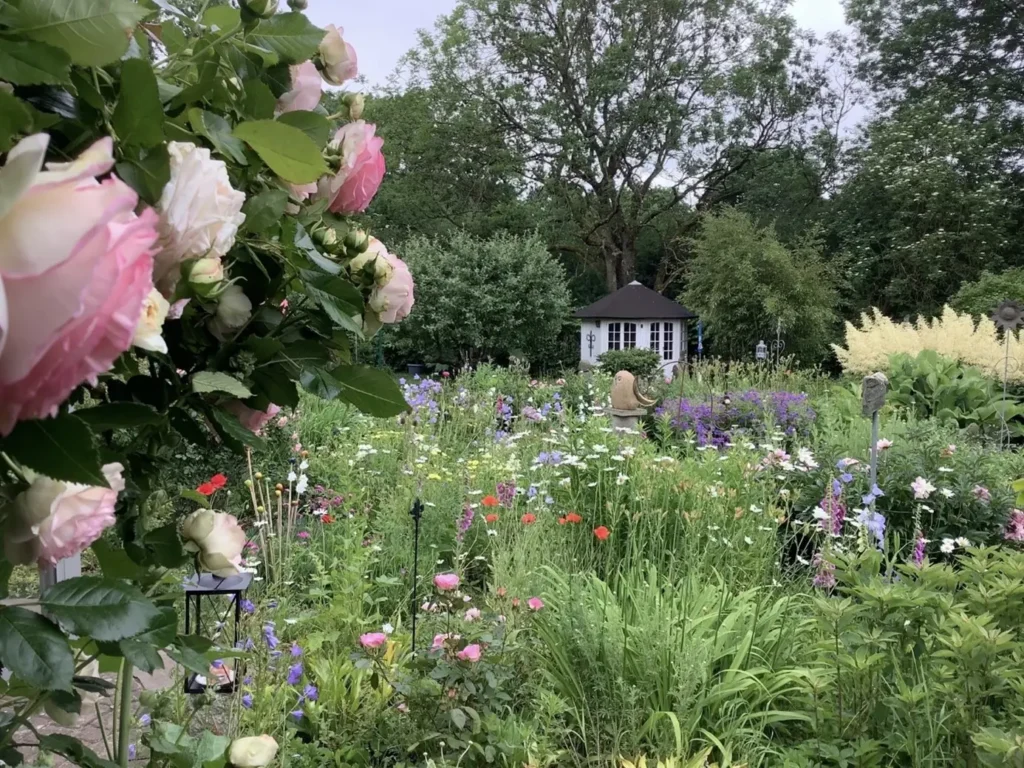 Kommunen für biologische Vielfalt - Praxisbeispiel - Stadt Flensburg - Naturgarten-Wettbewerb2