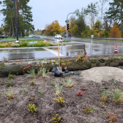 Kommunen für biologische Vielfalt - Praxisbeispiel - Stadt Geretsried - Verkehrsinsel3 - Pflanzung