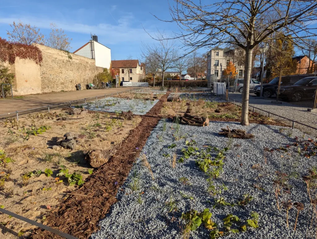 Kommunen für biologische Vielfalt - Praxisbeispiel - Stadt Haldensleben - Klima-Schaubeet1 - Tanz der Gräser