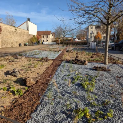 Kommunen für biologische Vielfalt - Praxisbeispiel - Stadt Haldensleben - Klima-Schaubeet1 - Tanz der Gräser