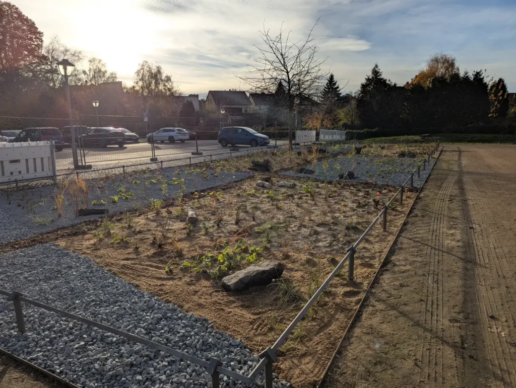 Kommunen für biologische Vielfalt - Praxisbeispiel - Stadt Haldensleben - Klima-Schaubeet2 - Tanz der Gräser