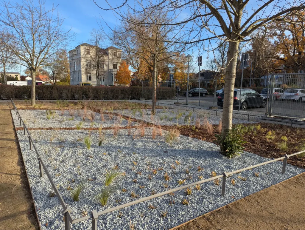 Kommunen für biologische Vielfalt - Praxisbeispiel - Stadt Haldensleben - Klima-Schaubeet3 - Präriemorgen