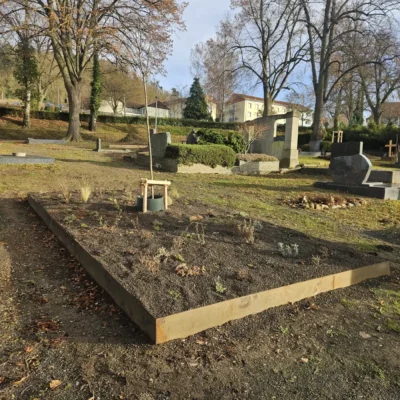 Kommunen für biologische Vielfalt - Praxisbeispiel - Stadt Homberg (Efze) - Modellflächen2