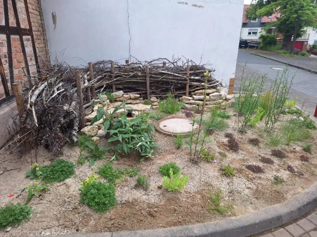 Kommunen für biologische Vielfalt - Praxisbeispiel - Stadt Homberg (Efze) - Sandarium2