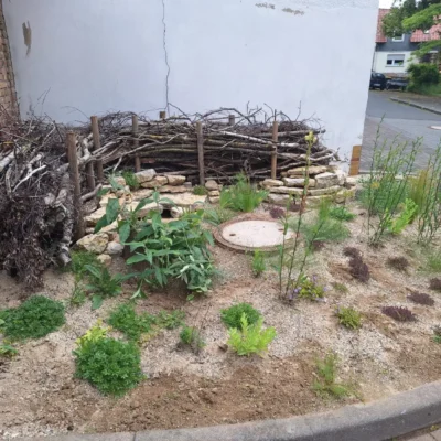 Kommunen für biologische Vielfalt - Praxisbeispiel - Stadt Homberg (Efze) - Sandarium2