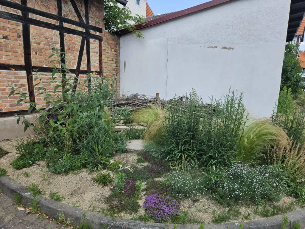 Kommunen für biologische Vielfalt - Praxisbeispiel - Stadt Homberg (Efze) - Sandarium3