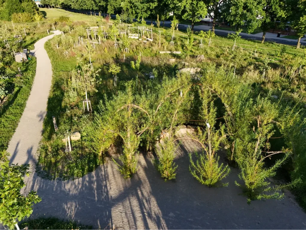 Kommunen für biologische Vielfalt - Praxisbeispiel - Stadt Kassel - Urbane Waldgärten1 - Waldgarten am Helleböhnweg