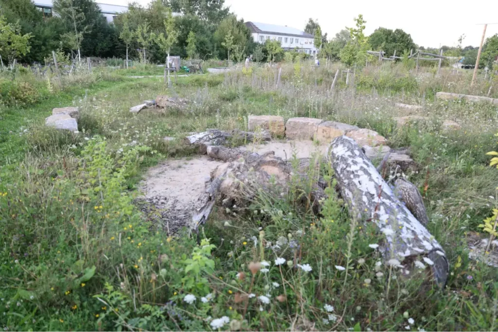 Kommunen für biologische Vielfalt - Praxisbeispiel - Stadt Kassel - Urbane Waldgärten2 - Waldgarten am Helleböhnweg