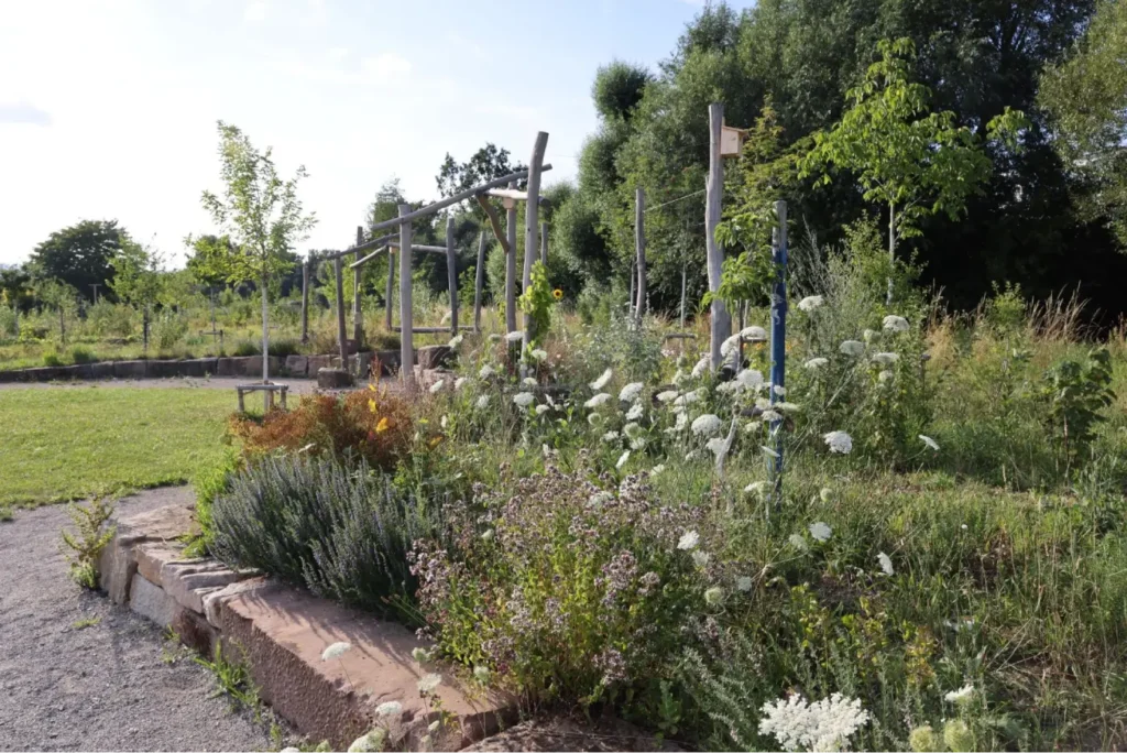 Kommunen für biologische Vielfalt - Praxisbeispiel - Stadt Kassel - Urbane Waldgärten6 - Waldgarten am Wahlebach