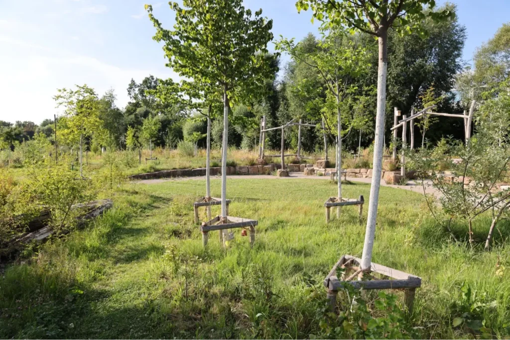 Kommunen für biologische Vielfalt - Praxisbeispiel - Stadt Kassel - Urbane Waldgärten7