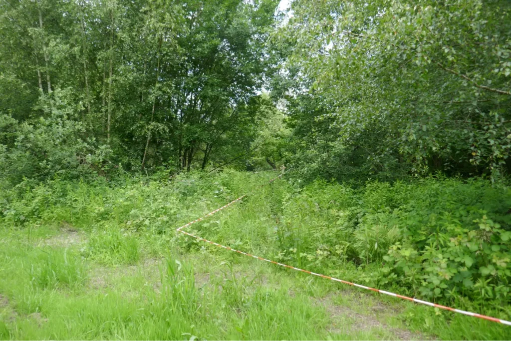 Kommunen für biologische Vielfalt - Praxisbeispiel - Stadt Lübeck - Grün für alle1